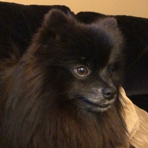 Meet your Posher, Mmelissa